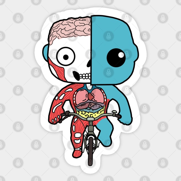 Kawaii Human Anatomy Riding A Bicycle Sticker by Donald Agunikyle Merch